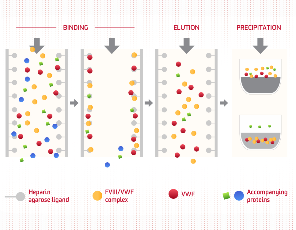 ALPHANATE FVIII/VWF Dual Affinity Chromatography