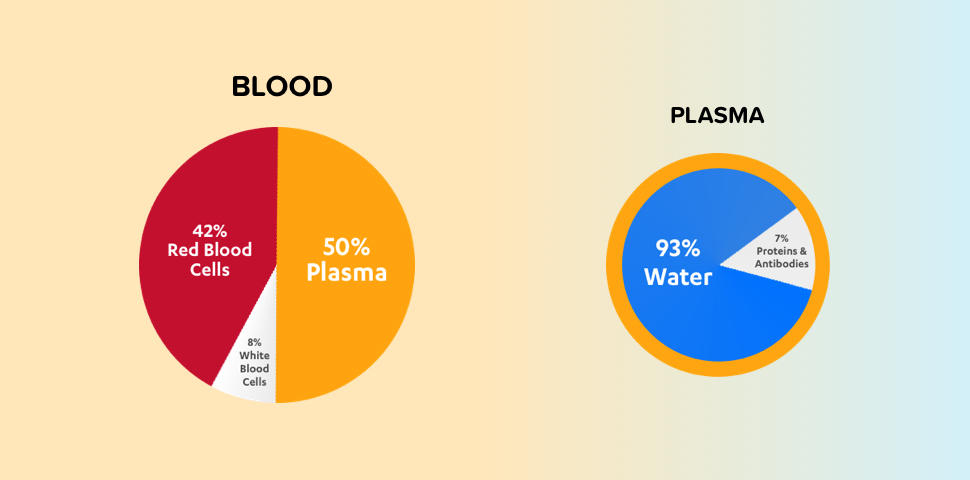 WHAT IS PLASMA IMAGE